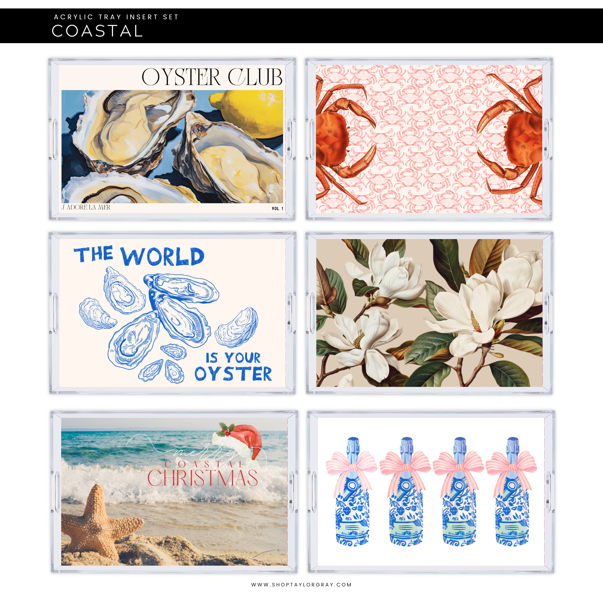 Costal Tray Inserts, 11 x 17, set of 10