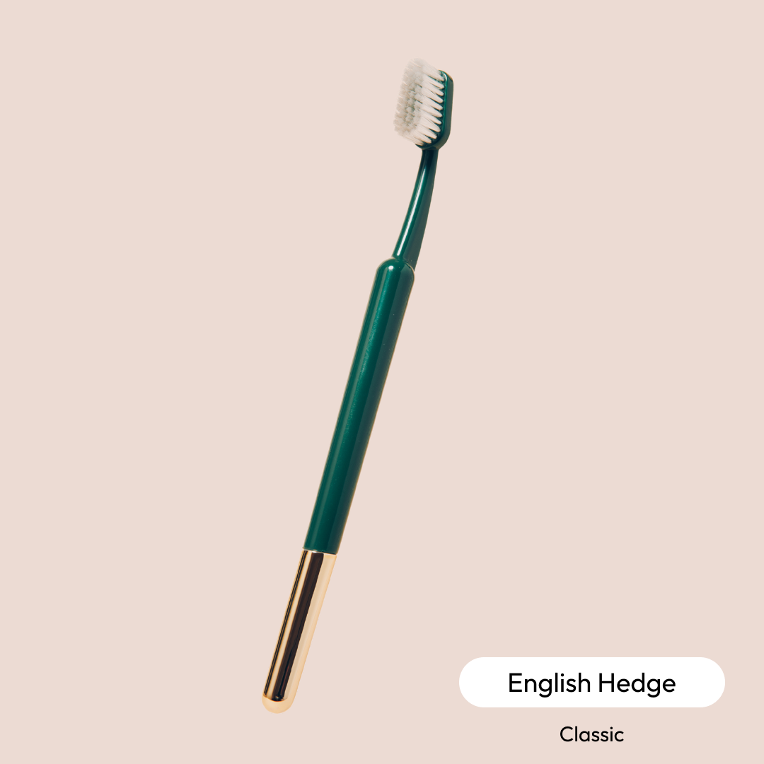 The Better Brush by TRASK