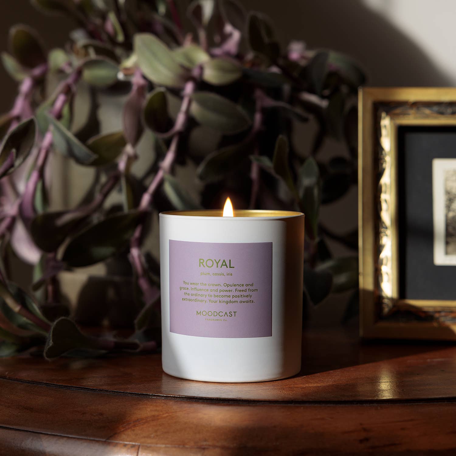 Royal Coconut Wax Candle Royal - 8 oz Glass Jar